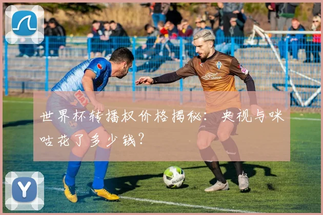 世界杯转播权价格揭秘:央视与咪咕花了多少钱?