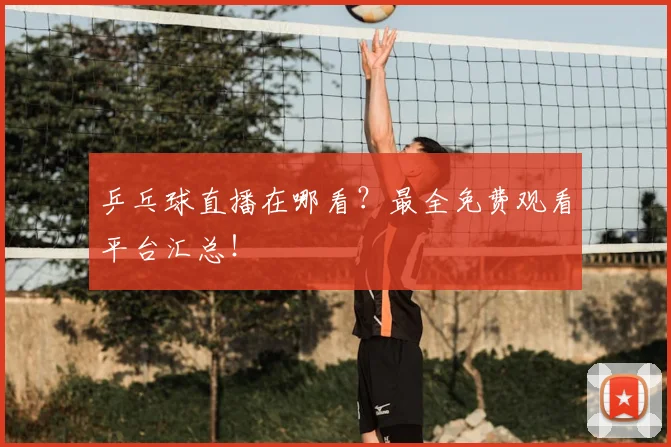 乒乓球直播在哪看？最全免费观看平台汇总！