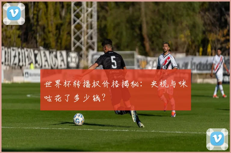 世界杯转播权价格揭秘:央视与咪咕花了多少钱?
